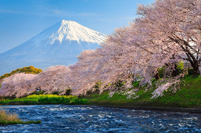 【日本】本州威斯汀假日雙古都6日游（成田進(jìn)大阪出）