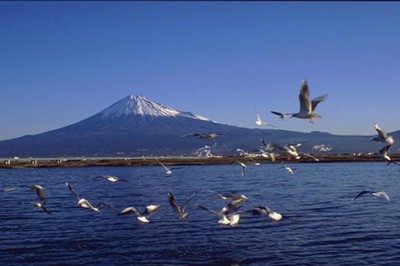 富士山_副本.jpg
