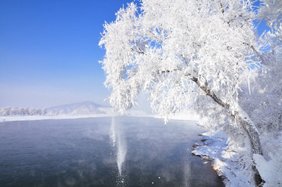 【哈爾濱】俄羅斯家庭游/亞布力滑雪/雪鄉(xiāng)/冰雪谷雙飛6日游