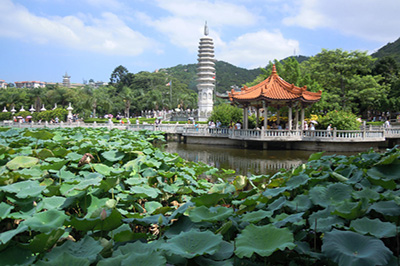 南普陀寺（400）