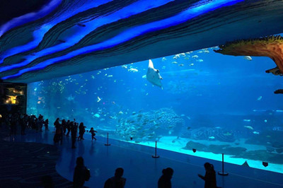 珠海長隆海洋王國0.jpg