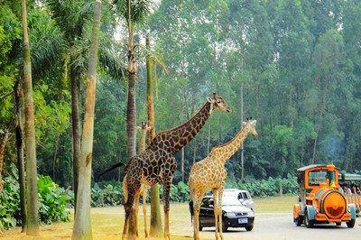 長隆野生動物世界