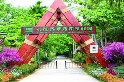 興隆熱帶藥用植物園1（400）