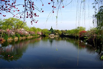 蠡園(400).jpg