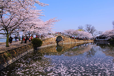 黿頭渚 長春橋（400）.jpg