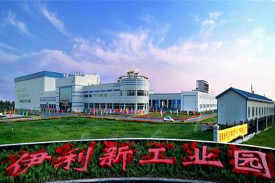 伊利工業(yè)園1