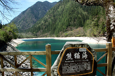 九寨溝熊貓海（400）.jpg