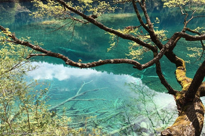 九寨溝.jpg
