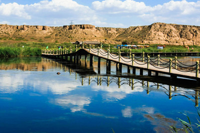 5A級景區(qū)沙湖生態(tài) 旅區(qū)游、.jpg