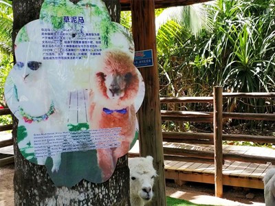 psb (7)_副本.jpg