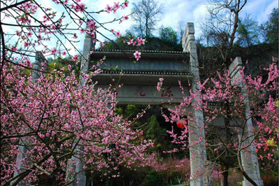 桃花源3