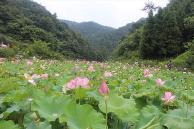 【十堰】茅箭區(qū)東溝一日游（革命教育基地）_3