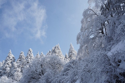 【房縣】武當國際滑雪一日游