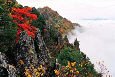 【安康】南宮山+香溪洞、安康博物館兩日游