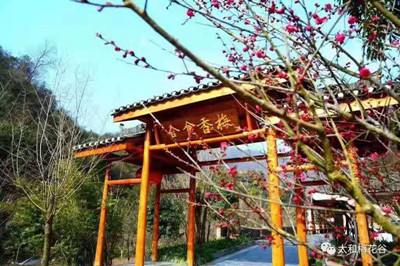 微信圖片_20190318092135_副本.jpg