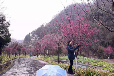 微信圖片_20190318093542_副本