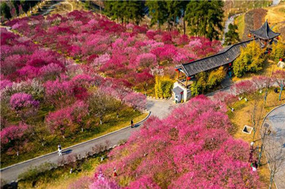 【十堰】秦巴植物園、娃娃魚基地1日游